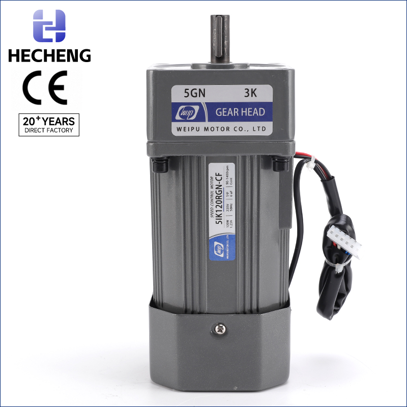 120W 12GN Speed Control Gear Motors