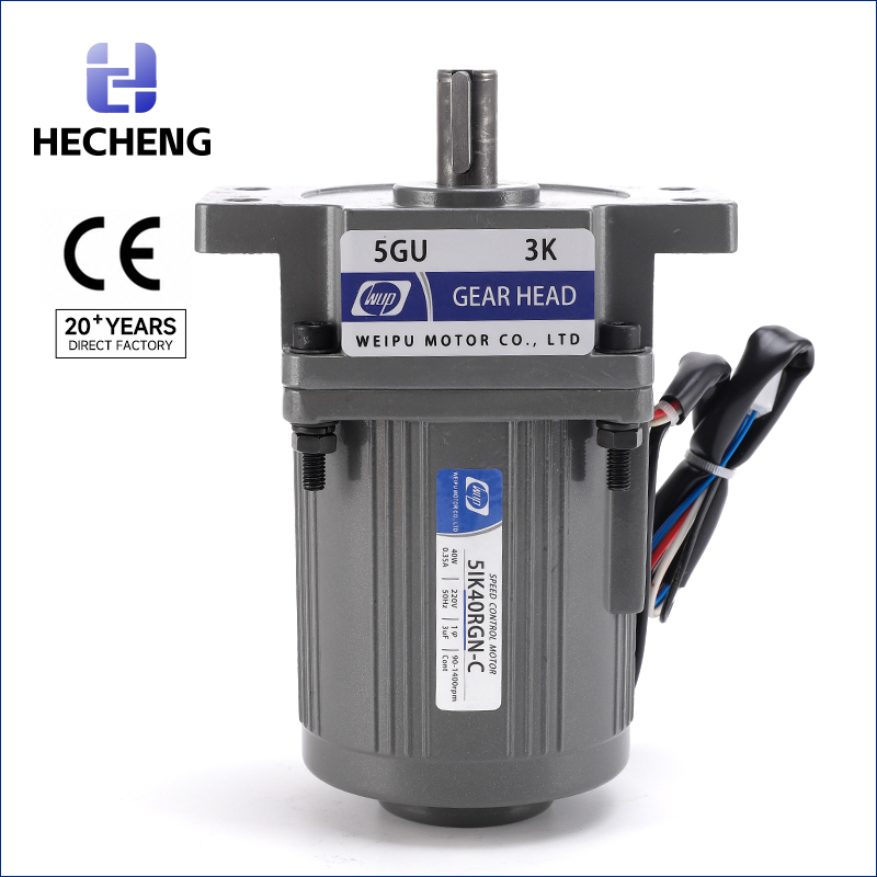 40W 15 Speed Control Gear Motor with Mounting Lugs
